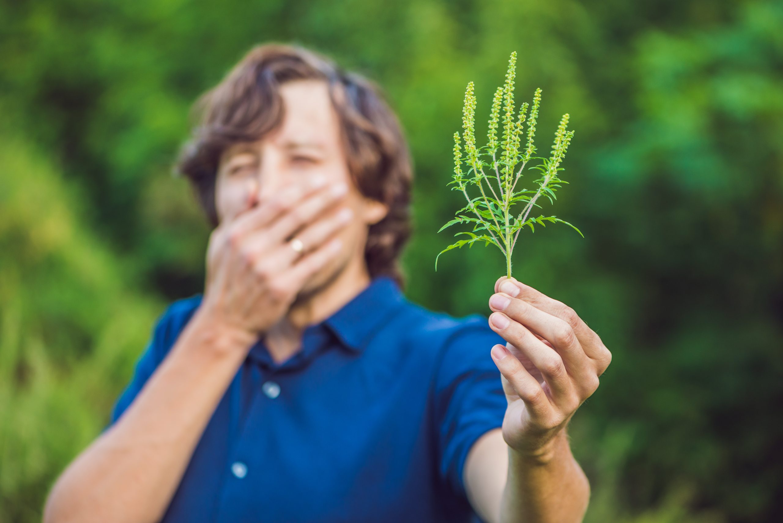 cannabis card chicago